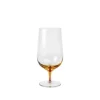 Amber bierglazen set van 12 stuks - 14496268