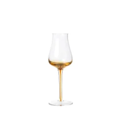 Amber spirit glazen set van 12 stuks - 14496285