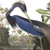 Behangpaneel Louisiana Heron