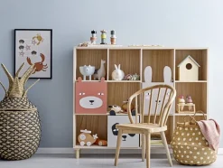 Boekenkast met lades
