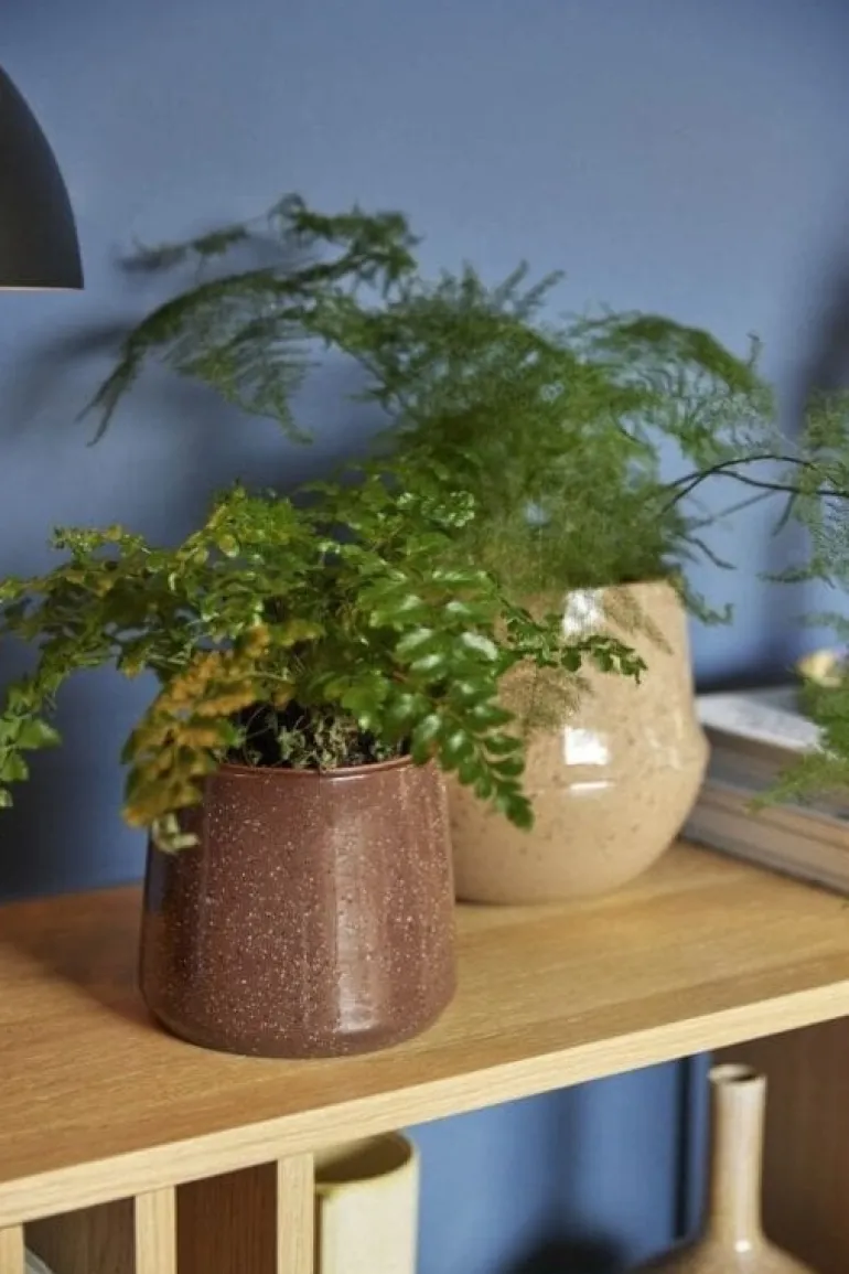 Dressoir - naturel/oranje