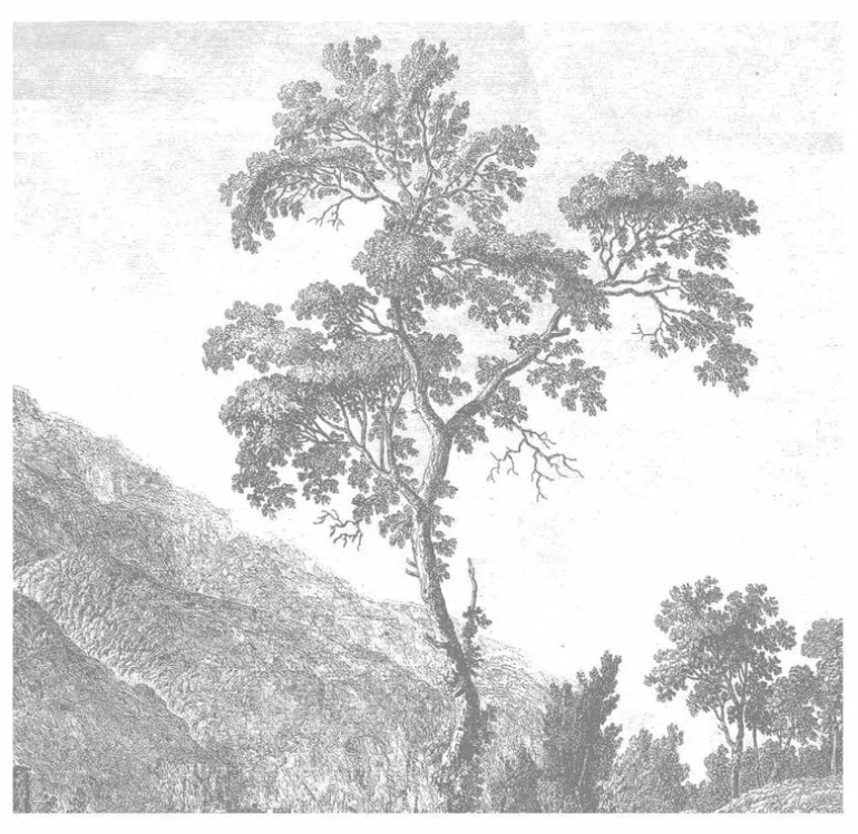 Engraved Landscapes behang