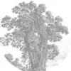 Engraved landscapes behangcirkel SC-013- ø142,5cm