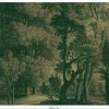 Engraved landscapes goud behang MW-032 - 300x280cm
