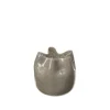 Esther vaas fungi - 14485023