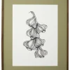 Garlic illustration - donker eiken