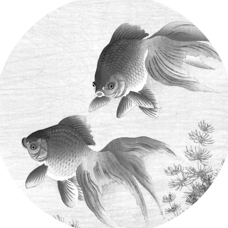 Goldfish behangcirkel CK-005 - ø190cm