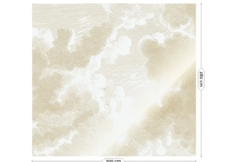Goud Engraved clouds behang MW-176 - 200x280cm