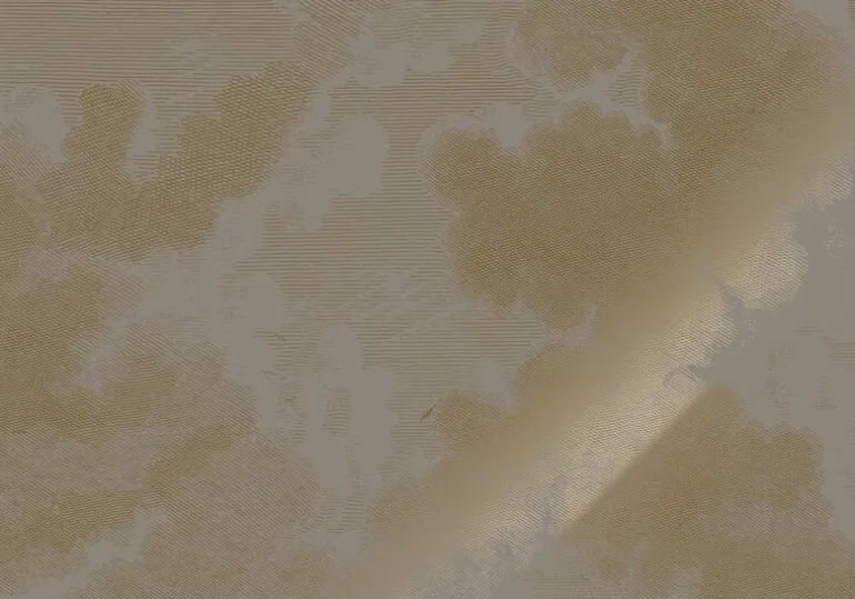Goud Engraved clouds grijs behang MW-187- 400x280cm