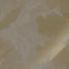 Goud Engraved clouds grijs behang MW-186 - 300x280cm