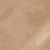 Goud Engraved clouds nude behang MW-182 - 200x280cm
