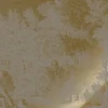Goud Engraved landschappen behang grijs MW-162 300x280cm