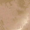 Goud Engraved landschappen behang nude MW-158 200x280cm