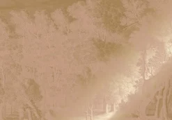 Goud Engraved landschappen behang nude MW-160 400x280cm
