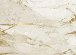 Marmer behang FU-073 - 292,2x280cm goud/wit