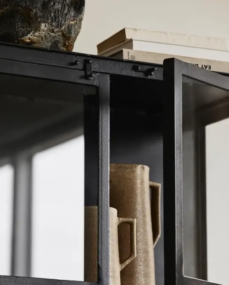 Phoenix kast met 2 deuren - zwart