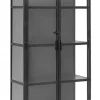 Phoenix kast met 2 deuren small - zwart