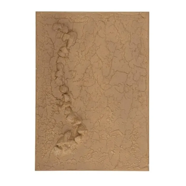Sisken wanddecoratie - 82053254